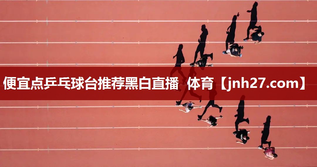 便宜点乒乓球台推荐黑白直播 体育