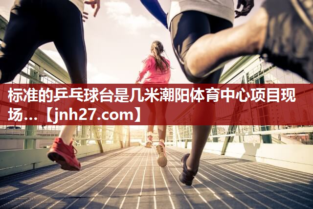 标准的乒乓球台是几米潮阳体育中心项目现场…